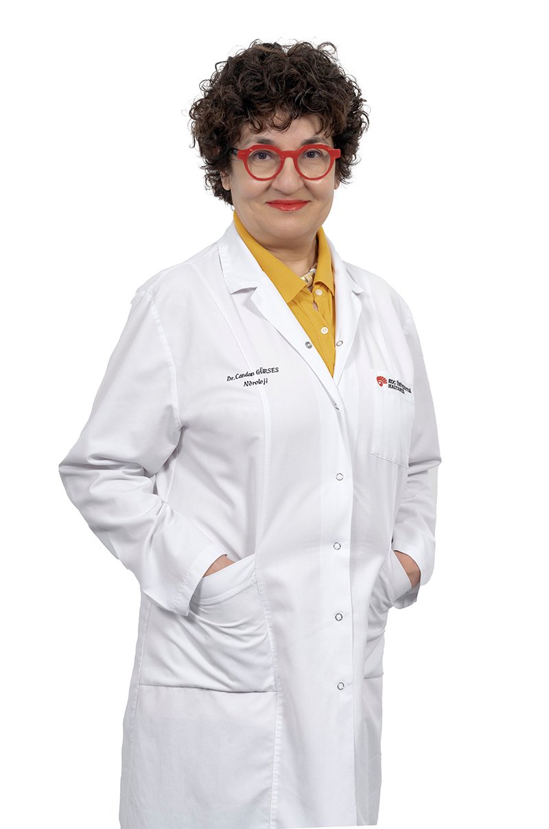 Prof.Dr.Candan Gurses